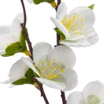 Cherry blossom branch, 69cm, white, Real Touch
