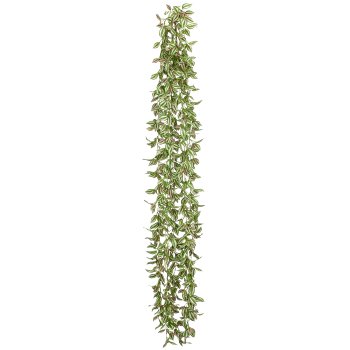 Tradescantie, 206cm, grün