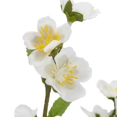 Kirschblüte, 64cm, weiß, im schwarzen Kunststofftopf 11,5x11,5x10,5cm