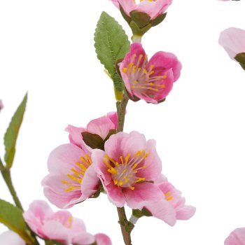 Kirschblüte, 77cm, rosa, im schwarzen Kunststofftopf 16x16x15cm