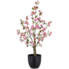 Kirschblüte, 77cm, rosa, im schwarzen Kunststofftopf 16x16x15cm