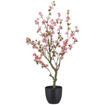 Kirschblüte, 105cm, rosa, im schwarzen Kunststofftopf 18x18x16,5cm