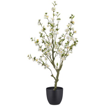 Kirschblüte, 105cm, weiß, im schwarzen Kunststofftopf 18x18x16,5cm