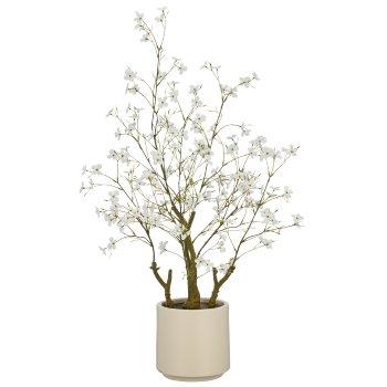 Cornus, 90cm, weiß, im beigen Kunststofftopf 18x18x16cm