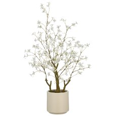 Cornus, 90cm, weiß, im beigen Kunststofftopf 18x18x16cm