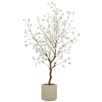 Cornus, 146cm, weiß, in beige plastic pot 22x22x21.5cm