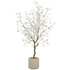 Cornus, 146cm, weiß, im beigen Kunststofftopf 22x22x21,5cm