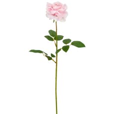 Rose x1, 69cm, rosa, Real Touch