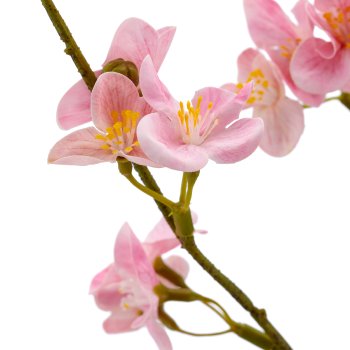 Quittenzweig, 73cm, rosa