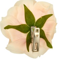 Rosenclip, 14x14x8cm, apricot, Real Touch