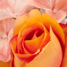 Rosen-Hortensien-Mix Bund, 30cm, apricot