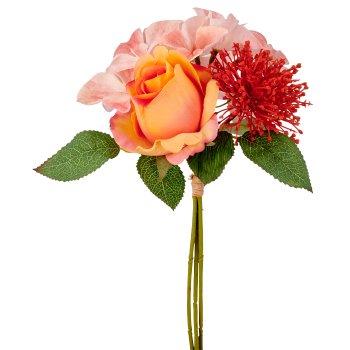 Rosen-Hortensien-Mix Bund, 30cm, apricot