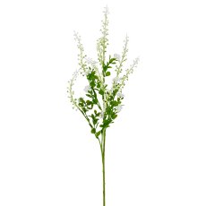 Phytolacca x5, 72cm, weiß