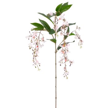 Clerodendrumhängezweig, 118cm, rosa