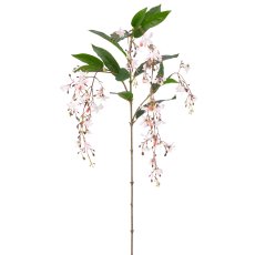 Clerodendrumhängezweig, 118cm, rosa