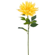 Dahlie x1, 94cm, gelb