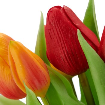 Tulpenbund x12, 30cm, orange