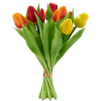 Tulpenbund x12, 30cm, orange