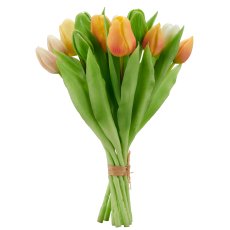 Tulpenbund x12, 30cm, apricot