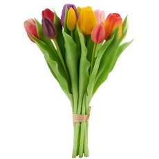 Tulpenbund x12, 30cm, bunt