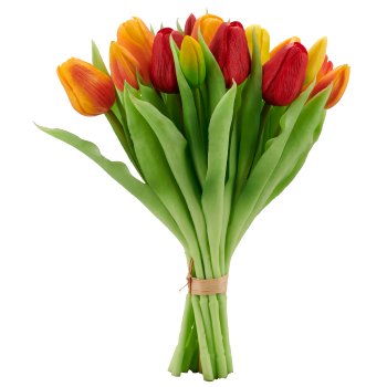Tulpenbund x 16, 30cm, orange