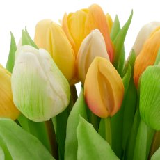 Tulpenbund x 16, 30cm, apricot