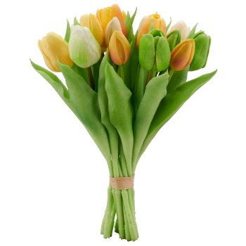 Tulpenbund x 16, 30cm, apricot