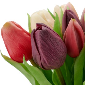 Tulpenbund x 16, 30cm, lila