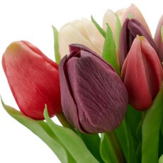 Tulpenbund x 16, 30cm, lila