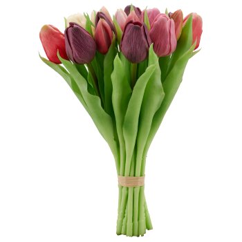 Tulpenbund x 16, 30cm, lila