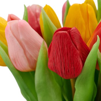 Tulpenbund x 16, 30cm, bunt
