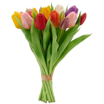 Tulpenbund x 16, 30cm, bunt