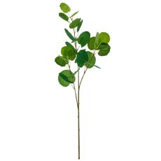 Fiederaralienzweig, 74cm, grün