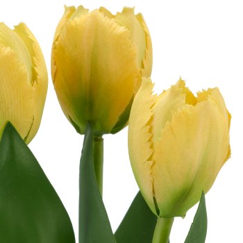 Tulpenbund x3, 32cm, gelb