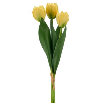 Tulpenbund x3, 32cm, gelb