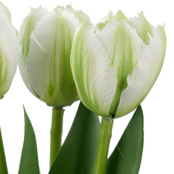 Tulpenbund x3, 32cm, weiß