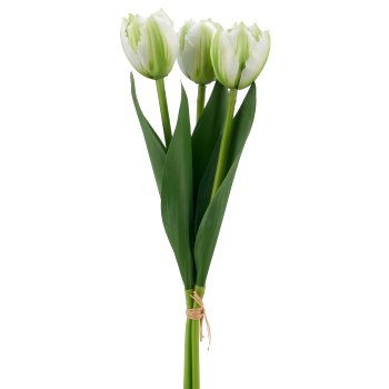 Tulpenbund x3, 32cm, weiß