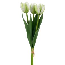 Tulpenbund x3, 32cm, weiß