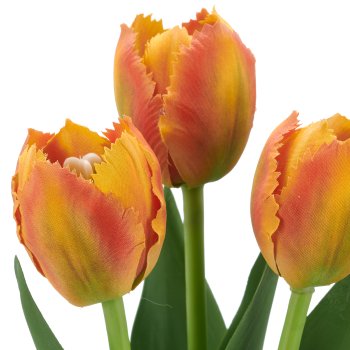 Tulpenbund x3, 32cm, orange