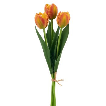 Tulpenbund x3, 32cm, orange