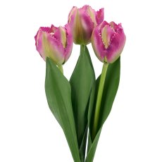 Tulpenbund x3, 32cm, lila