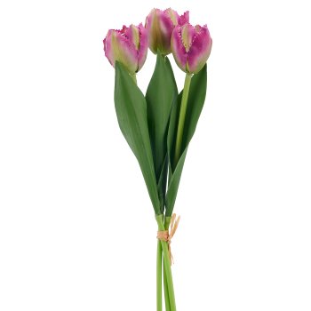 Tulpenbund x3, 32cm, lila