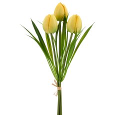 Wildtulpenbund x3, 27cm, gelb