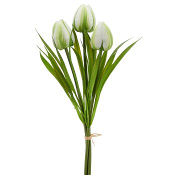 Wildtulpenbund x3, 27cm, weiß