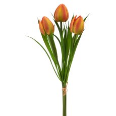Wildtulpenbund x3, 27cm, orange