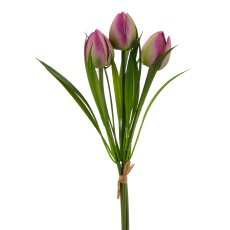 Wildtulpenbund x3, 27cm, lila