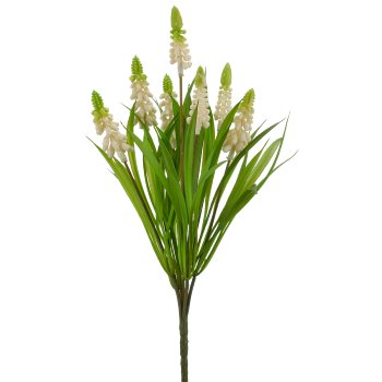 Muscari x7, 33cm, weiß