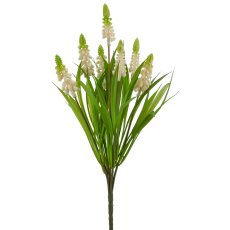 Muscari x7, 33cm, weiß