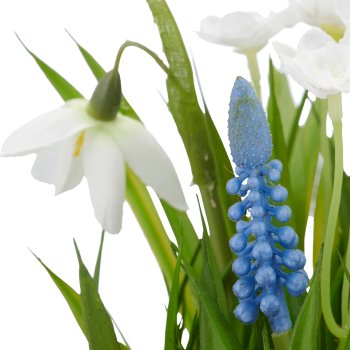 Frühlingsblumen im Grastopf, 14x14x19cm, blau