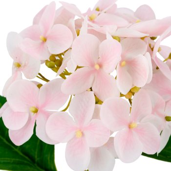 Hortensie x1, 33cm, rosa, Real Touch
